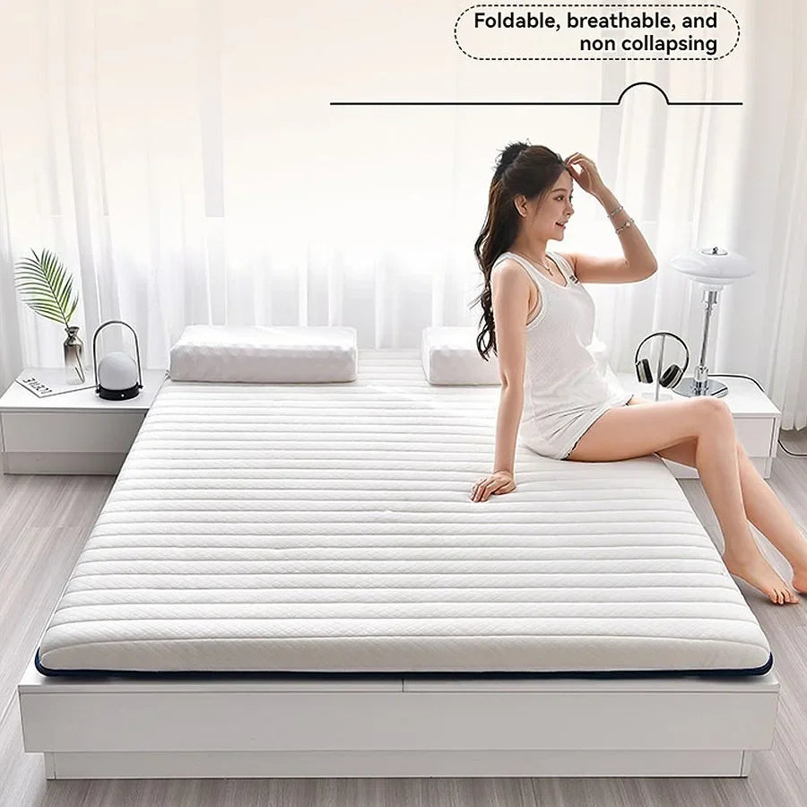 Latex Mattress Cushion